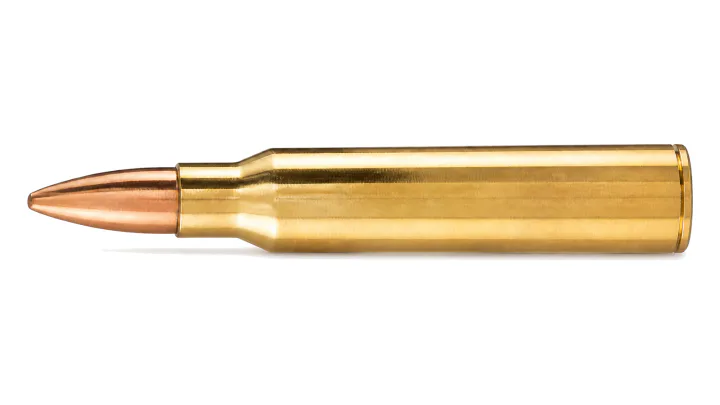 5.56 x 45 mm NATO Ball SS 109