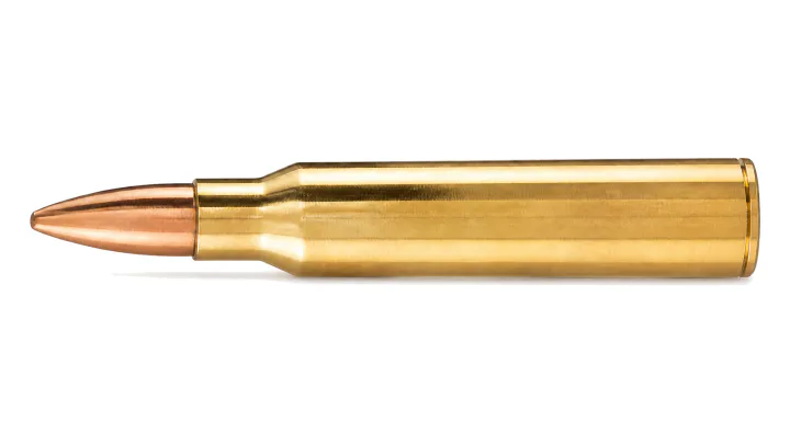 5.56 x 45 mm NATO Ball SS 109