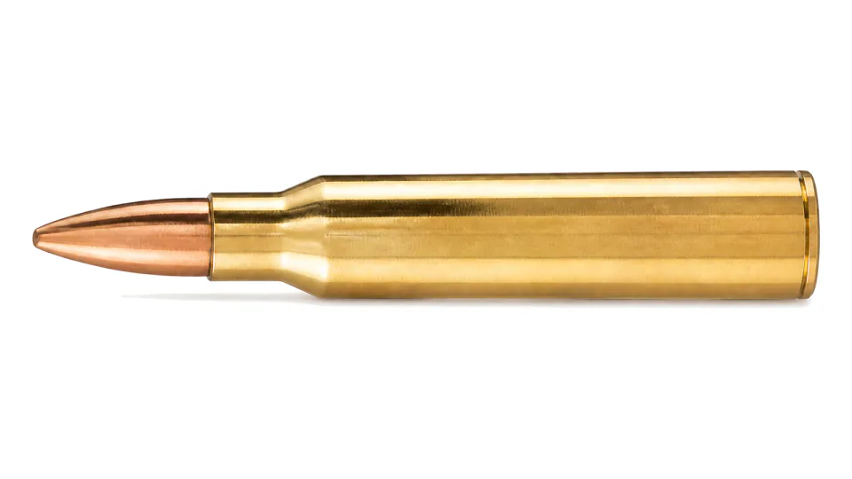 5.56 x 45 mm NATO Ball SS 109