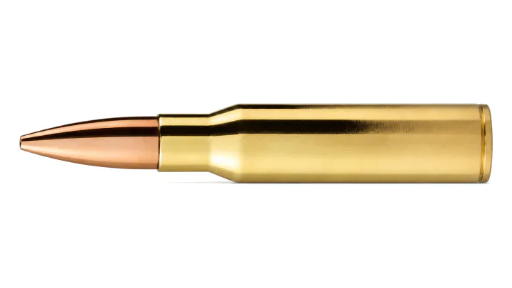 7.62 x 51 mm Match (.308 Winchester)