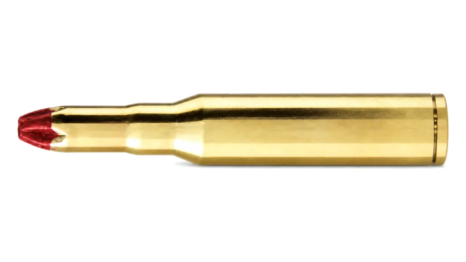 7.62 x 51 mm NATO Blank M82