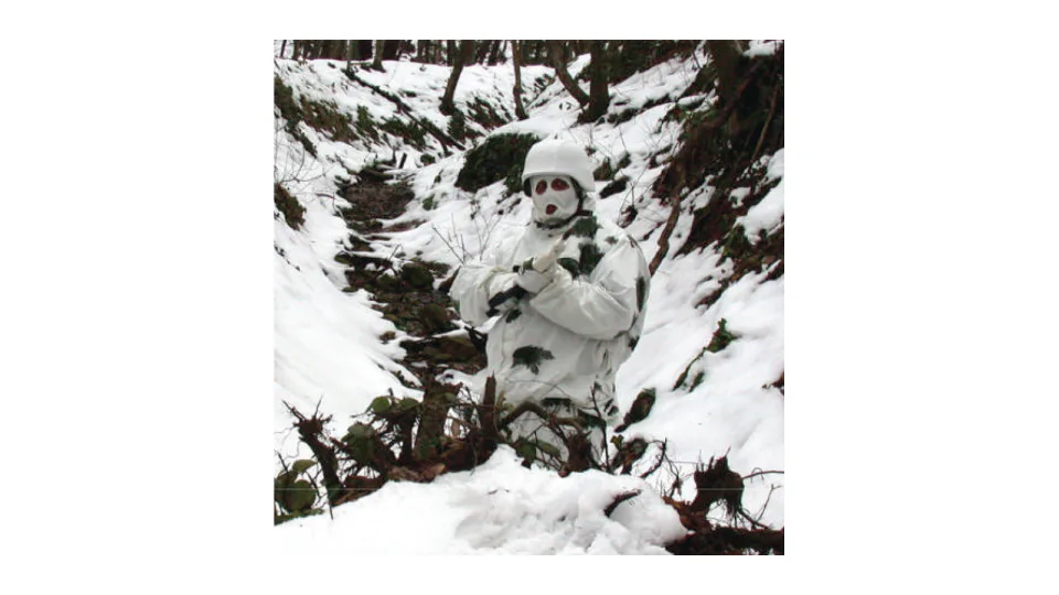 M2000 winter camouflage suit, Winter field demonstration